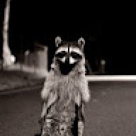 Raccoon327