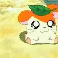 Hamma Gsouma