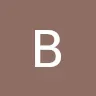 BigBlocks