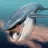 Ballena