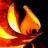 thegamingphoenixsite