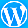 WordPress Posts + Category Widget