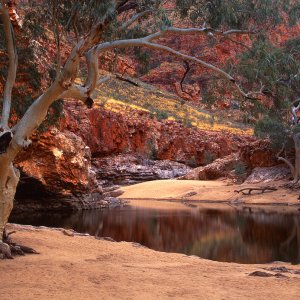 Australian Outback 6