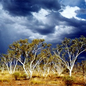 Australian Outback 2