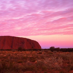 Australian Outback 1