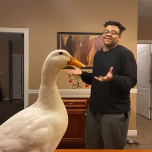 the man who danced with the duck.mp4