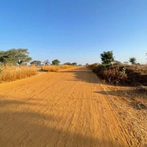 Run baby ! Run !