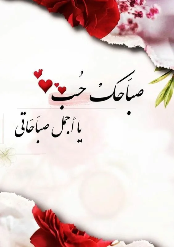 12.webp