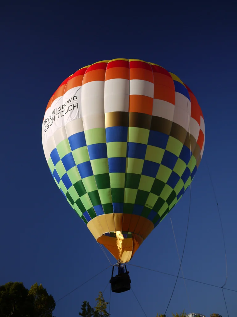A Hot-Air Balloon_4071960378_l.jpg
