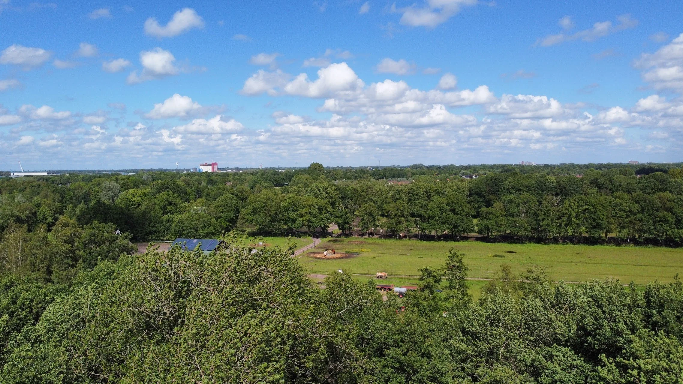 A view in the Netherlands