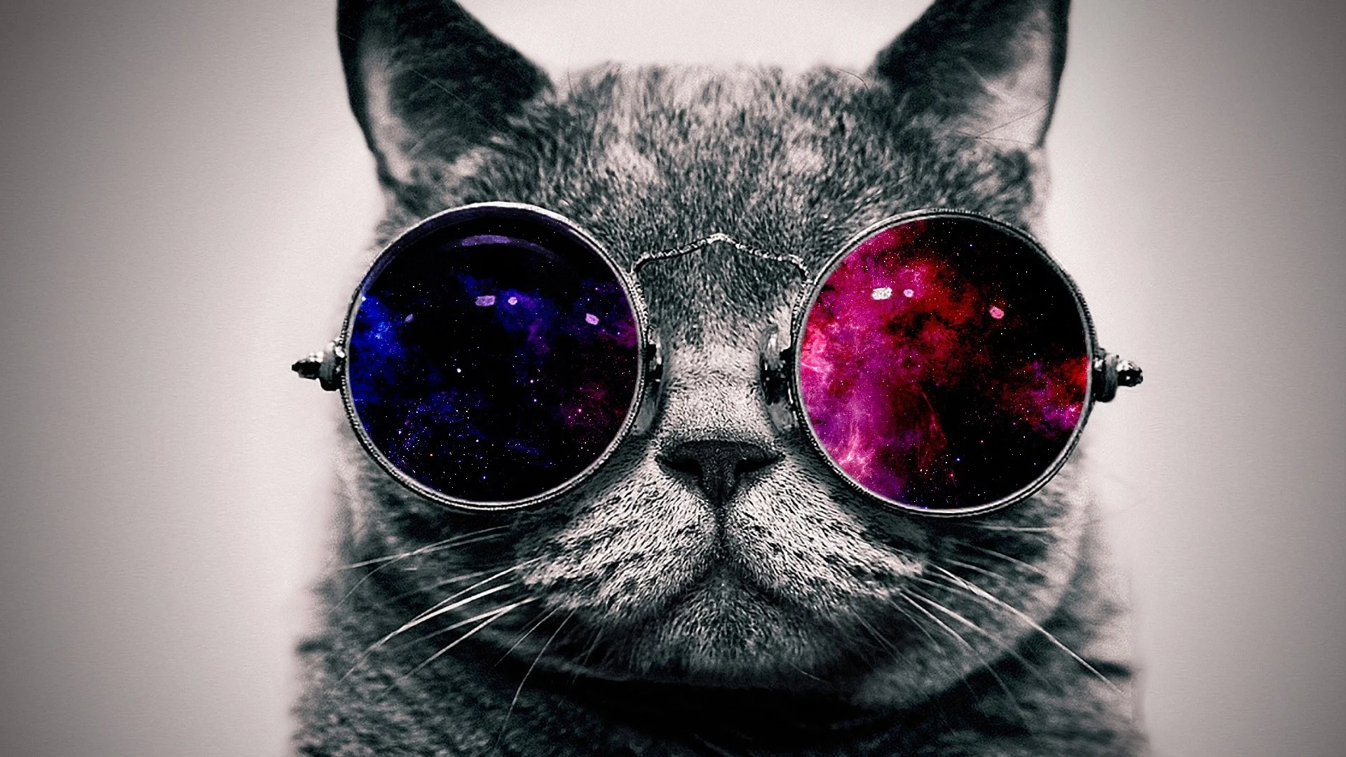 Cat_face_glasses_thick_65455_1920x1080