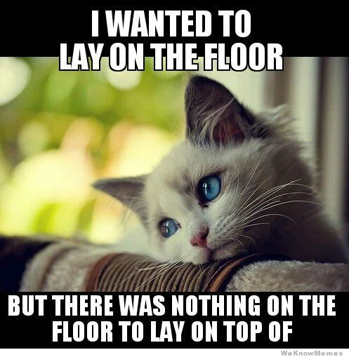 I wanted to lay on the floor