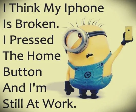 minions funny quote.jpg