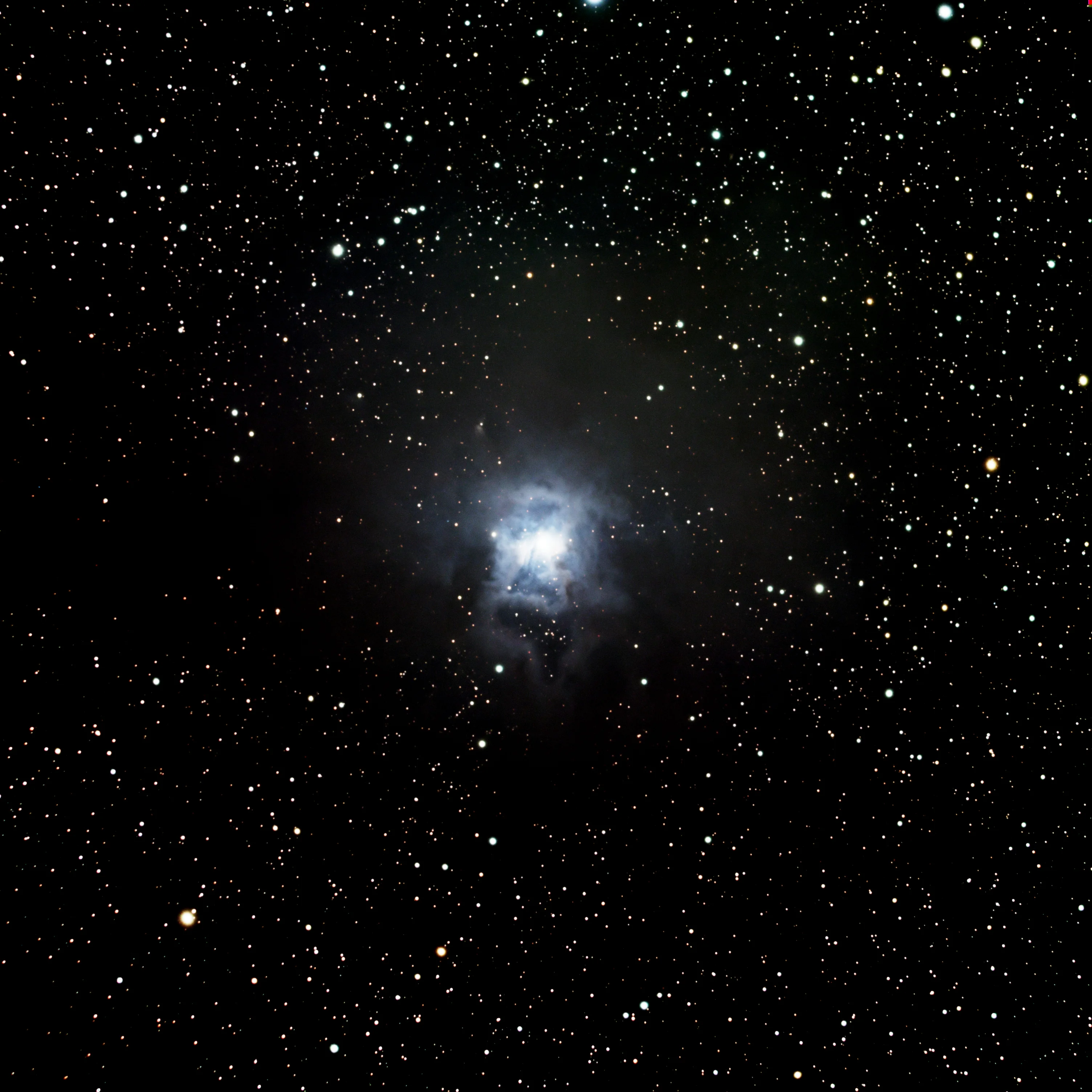 NGC7023 (Iris Nebula)