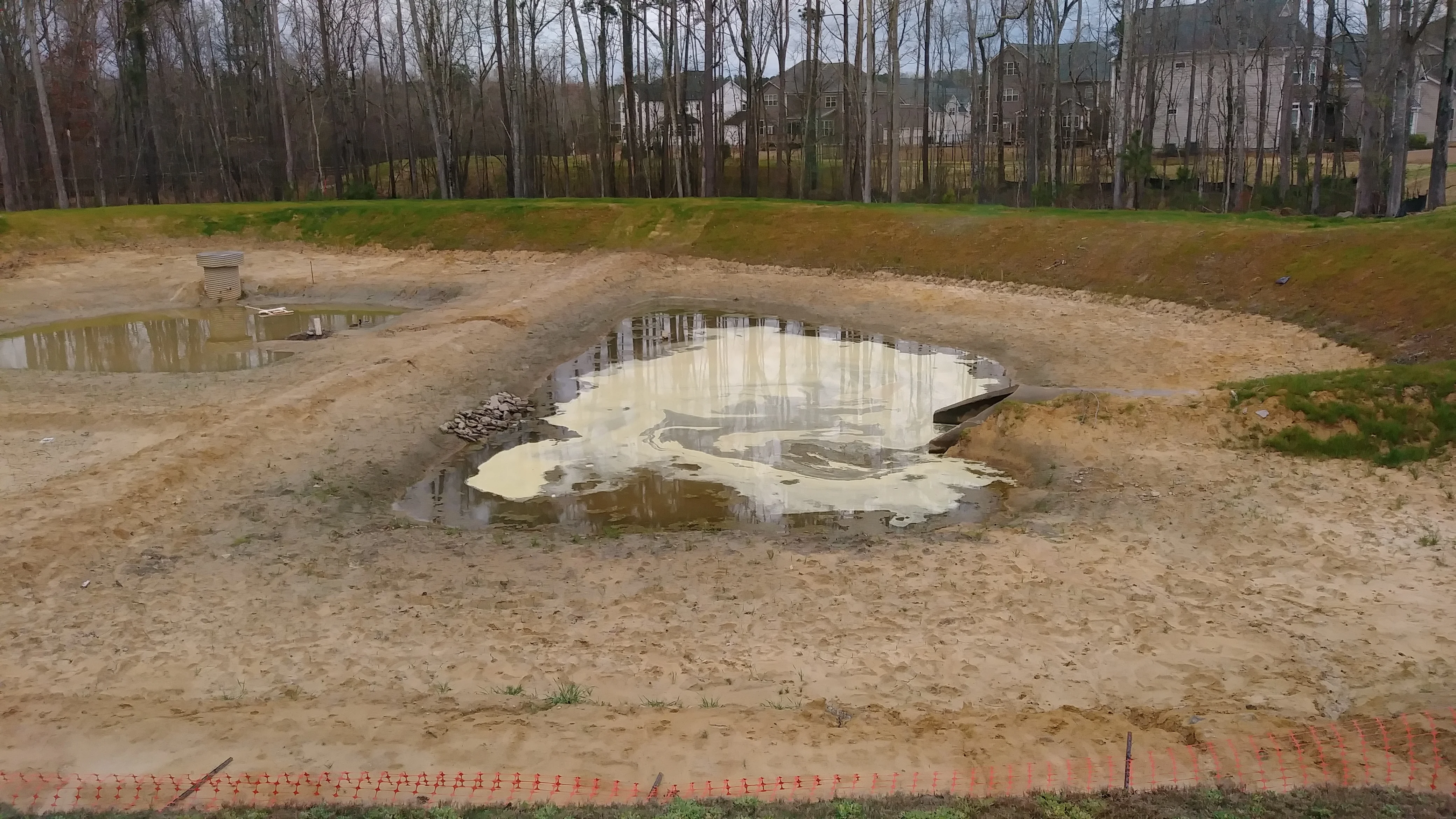 Pollen Pond