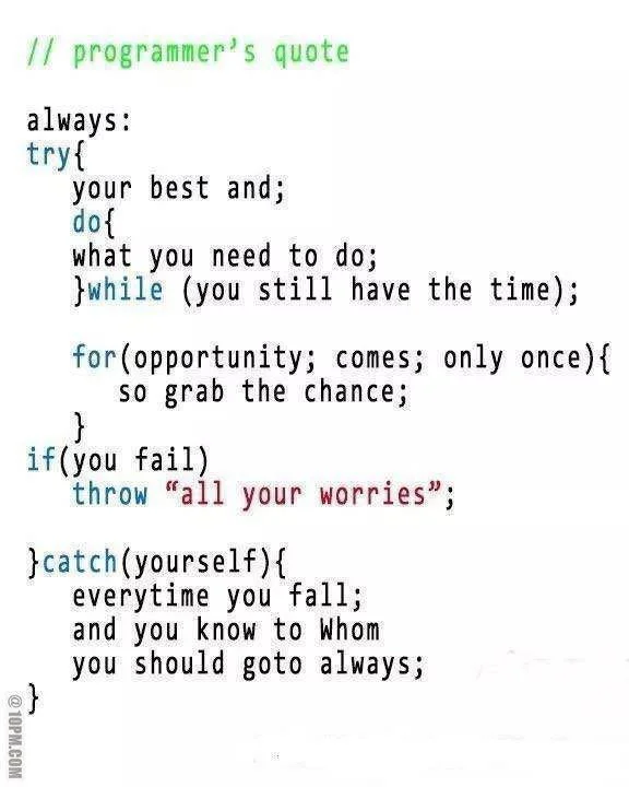 Programmer's Quote