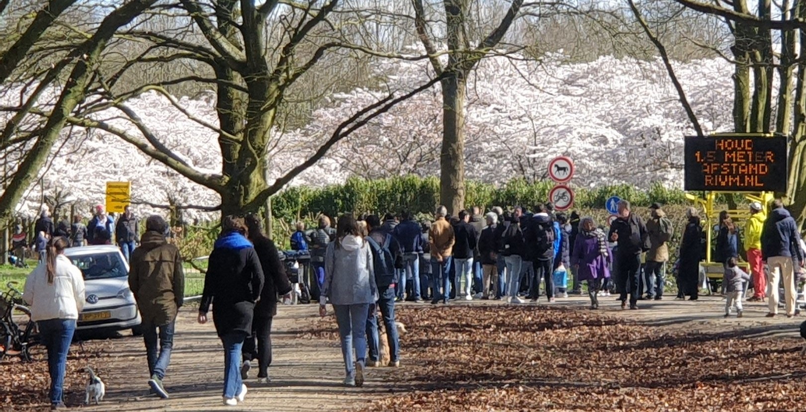 Geen_afstand_bloesempark_RTVA.jpg