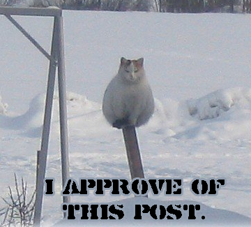 1061292104_3f24bbbcf4_o.png