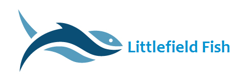 logo.png