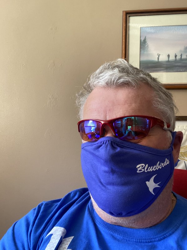 cardiffcityforum.com