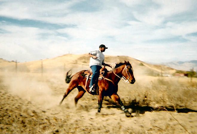cowboy8.jpg