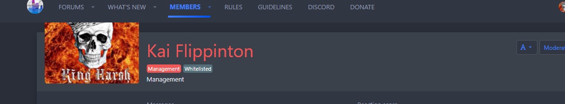 gyazo.com