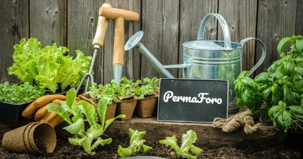permaforo.net