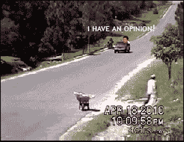 bandwagon.gif