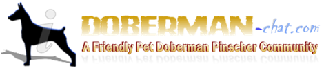 dc_logo.png