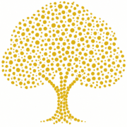 www.dnforum.com