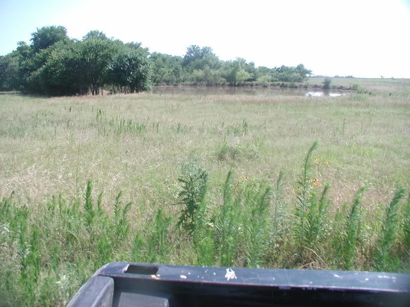 003-2.jpg