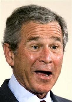 duh-bush-784283.jpg