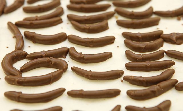 insect_candy_00.jpg
