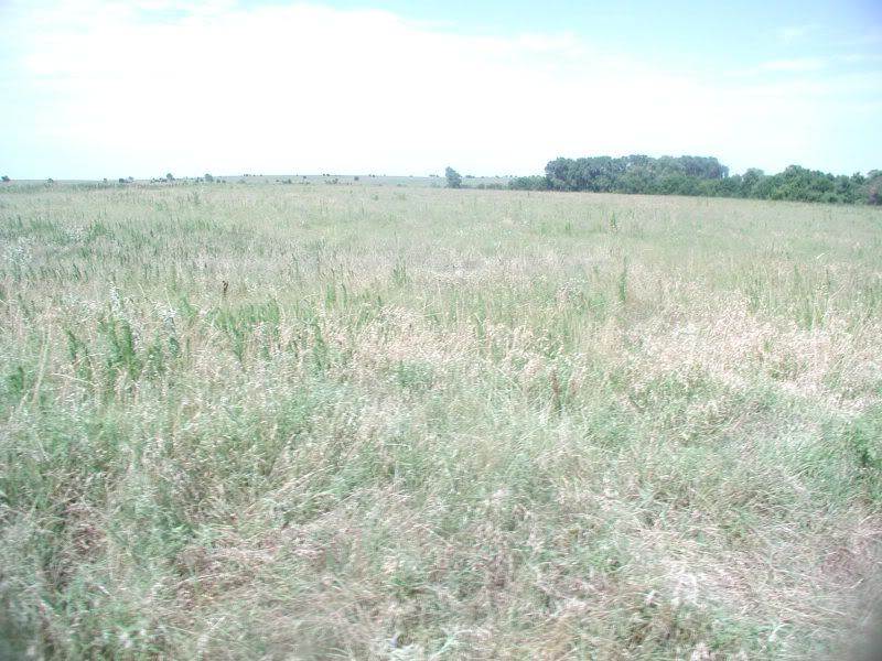 005-1.jpg