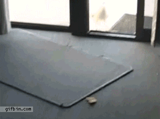 985215.gif