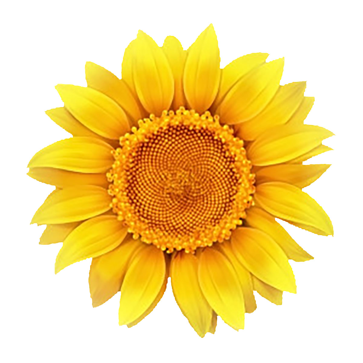 gardenforums.com