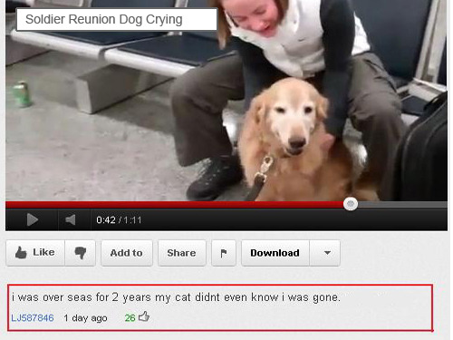 tumblr_maih0dqYZQ1qzbs6po1_500.jpg