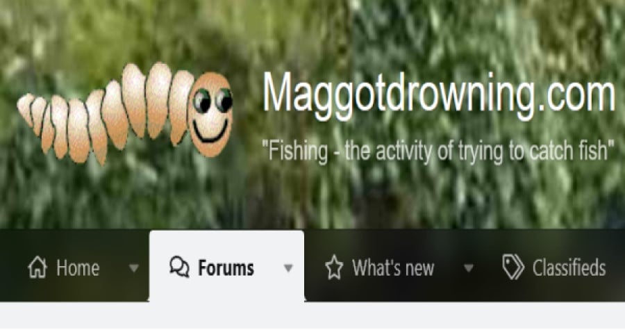 www.maggotdrowning.com