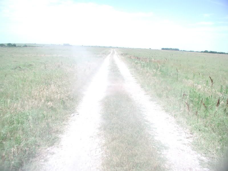 008-1.jpg