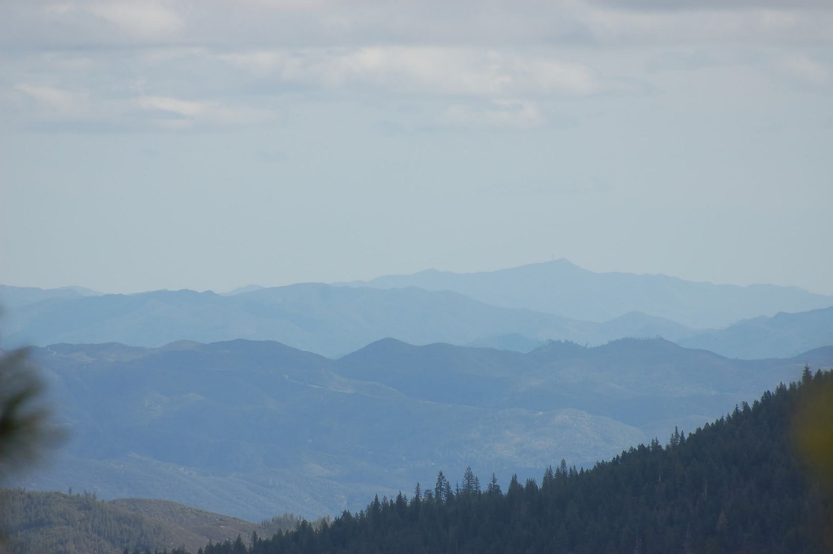 DSC_1269.jpg