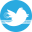 twitter-icon_zpsf4d1d13d.png