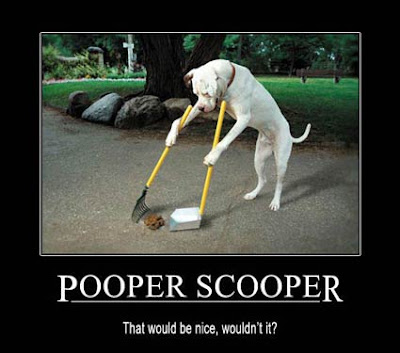 Pooper-Scooper.jpg