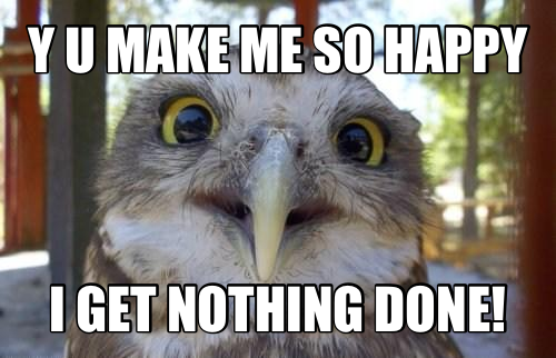 owl-happy-meme.png