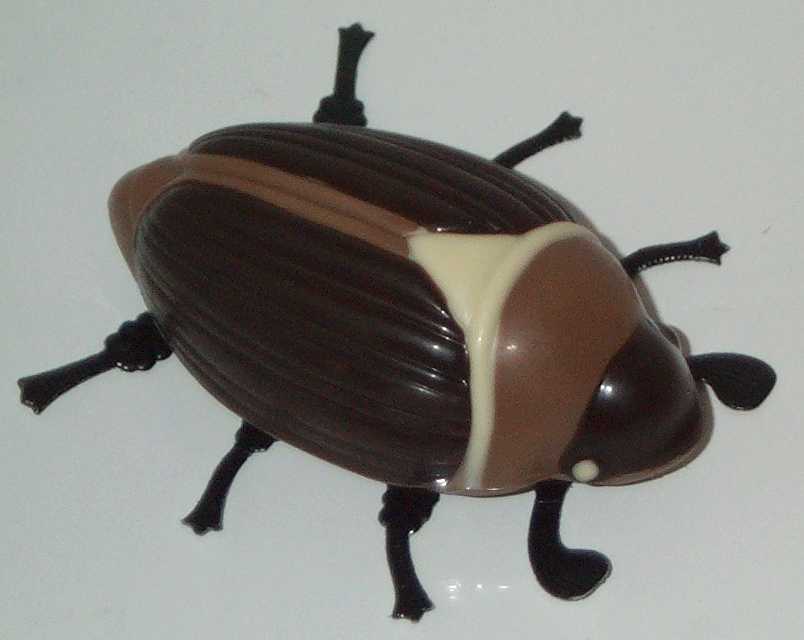 ChocolateBug.jpg
