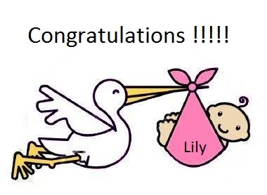 congratulations-lily-wee-lad-jpg.36109