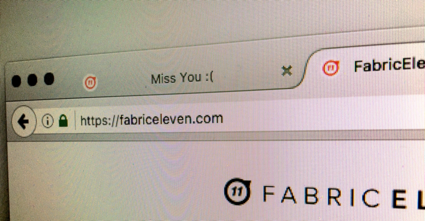 fabriceleven.com