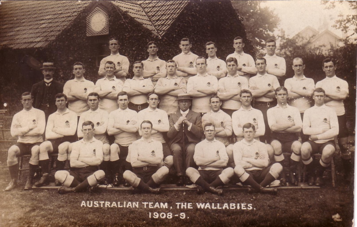 Wallabies-1908.jpg