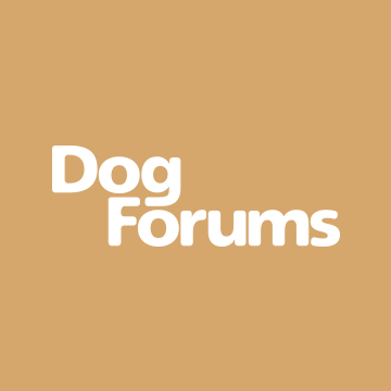 www.dogforums.com