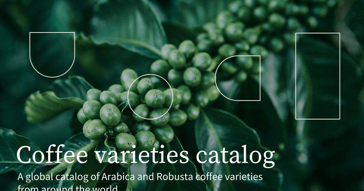 varieties.worldcoffeeresearch.org