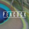 peacock.png